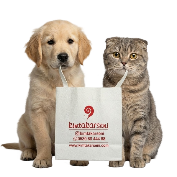 Açılışa özel %20 İndirim Fırsatı