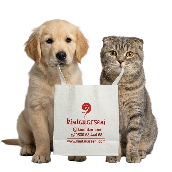 Açılışa özel %20 İndirim Fırsatı